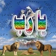 مجدى هلال ابو مينا