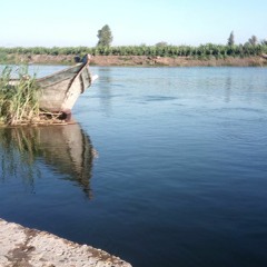Mostafa Ahmed