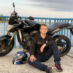 Dimas_hornet