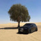 eRic_evermore
