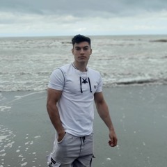 reza Javanmardi