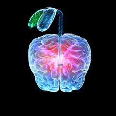 mindseed
