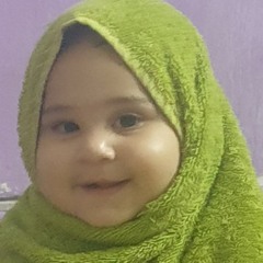 Abdul Basir Shinwari