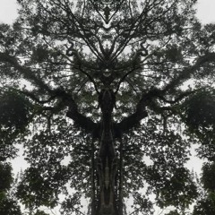 AtmikMantra