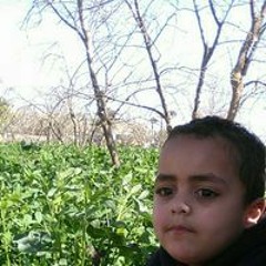 Mansour Soliman