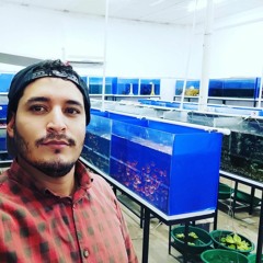 skullfish🐟🐠🐟🐠