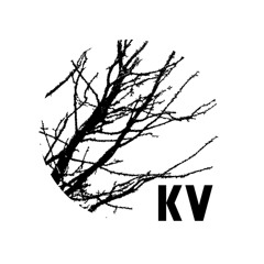 Kinetic Vision
