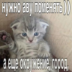Лерик 🪽