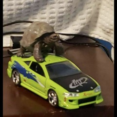 MR. CHEESE ON DA WHIP