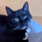Lil' Snorre
