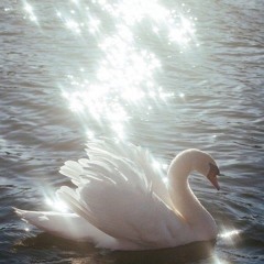 حمـــ𐙚یرآ