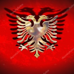 SOUTH SIDE BABY💯🇦🇱🇧🇦📌