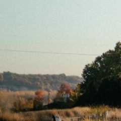 critter_333