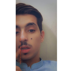 Haseebo