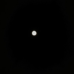 A11