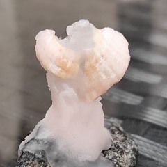 Solis Ortum