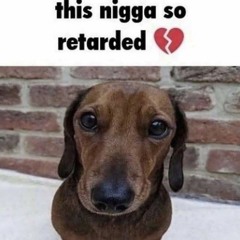 lilicypoo