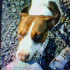 3⃣_GOOD👌💯🚹