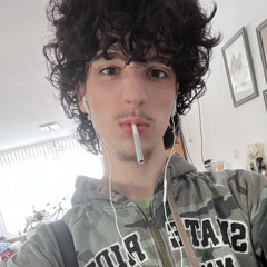 DUSTERFAN3000