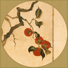 ryvl_00