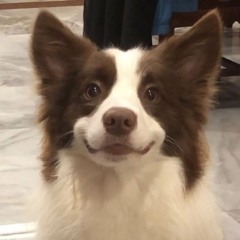 LiterallyDoc