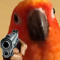 birdcore