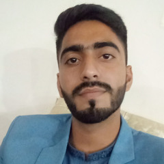 Hassan Zahoor