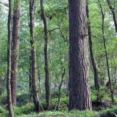 Kimberly  🤷‍♀️