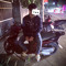 thanhnong.scl_vn