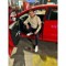 Ahmed Sayed