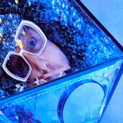 Jy McFly's Dance Powered Light Bulbs