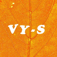 VY-s