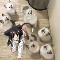 танечка