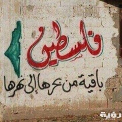 Sherif Elsayed