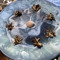 21Potions