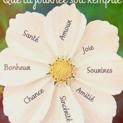 User 956349288