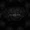 Void