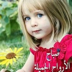 روكت الفين الفين