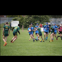 calgittins12