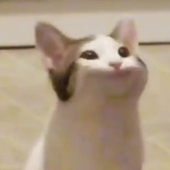 pk