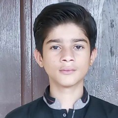 Malik Usman Ali mangna