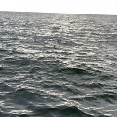 slikka