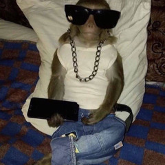 Young Motherfucker