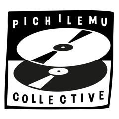 Pichilemucollective