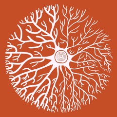 Wales Culture Alliance