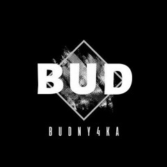 BuD