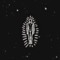 prodspex • chronamali