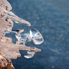 Lomonosovin maan postinumero