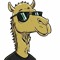 Camel