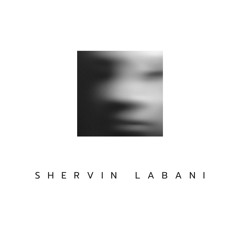 Shervin Labani